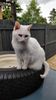 Filename : IMG_20180512_141323.jpg
Filesize : 1283KB
Dimensions : 1750x3111
Date added : Jun 01, 2019 IMG_20180512_141323.jpg