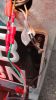 Filename : IMG_20180516_202609.jpg
Filesize : 1469KB
Dimensions : 1750x3111
Date added : May 16, 2018 IMG_20180516_202609.jpg