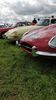 Filename : IMG_20190618_113239.jpg
Filesize : 1891KB
Dimensions : 1750x3111
Date added : Jun 19, 2019 IMG_20190618_113239.jpg