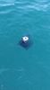 Filename : IMG_20190820_204429.jpg
Filesize : 1385KB
Dimensions : 1750x3111
Date added : Aug 29, 2019 IMG_20190820_204429.jpg