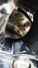 Filename : discs.jpg
Filesize : 1169KB
Dimensions : 1750x3111
Date added : Feb 15, 2018 discs.jpg
