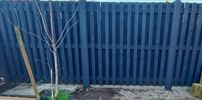 Filename : fence 3.jpg
Filesize : 162KB
Dimensions : 1187x587
Date added : Mar 04, 2021 fence 3.jpg