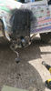 Filename : tow 2.jpg
Filesize : 99KB
Dimensions : 342x608
Date added : May 10, 2020 tow 2.jpg