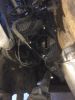 Filename : IMG_1404.jpg
Filesize : 687KB
Dimensions : 1750x2333
Date added : Feb 28, 2016 IMG_1404.jpg