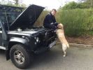 Filename : Landy_Jasper.jpg
Filesize : 795KB
Dimensions : 1750x1312
Date added : Apr 13, 2016 Landy_Jasper.jpg