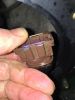 Filename : IMG_1423.jpg
Filesize : 1359KB
Dimensions : 2448x3264
Date added : Feb 03, 2016 IMG_1423.jpg