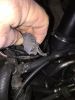Filename : IMG_1590.jpg
Filesize : 652KB
Dimensions : 1750x2333
Date added : Mar 02, 2016 IMG_1590.jpg