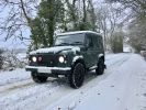 Defender In Snow.jpg