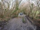 Filename : DSC_1618.JPG
Filesize : 1471KB
Dimensions : 1750x1313
Date added : Feb 24, 2018 DSC_1618.JPG