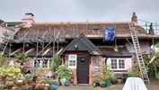 Filename : DSC_2570.JPG
Filesize : 932KB
Dimensions : 1750x984
Date added : Nov 10, 2020 DSC_2570.JPG
