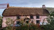 Filename : DSC_2578.JPG
Filesize : 1107KB
Dimensions : 1750x984
Date added : Nov 13, 2020 DSC_2578.JPG