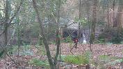 Filename : DSC_3114.JPG
Filesize : 1147KB
Dimensions : 1750x984
Date added : Dec 23, 2021 DSC_3114.JPG