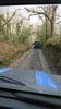 Filename : DSC_3121.JPG
Filesize : 3072KB
Dimensions : 1750x3111
Date added : Dec 23, 2021 DSC_3121.JPG