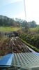 Filename : DSC_3298.JPG
Filesize : 2644KB
Dimensions : 1750x3111
Date added : Mar 21, 2022 DSC_3298.JPG