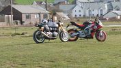 Filename : DSC_3306.JPG
Filesize : 790KB
Dimensions : 1750x984
Date added : Mar 30, 2022 DSC_3306.JPG
