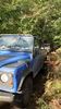 Filename : DSC_4100.JPG
Filesize : 2936KB
Dimensions : 1750x3111
Date added : Oct 19, 2023 DSC_4100.JPG