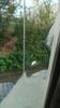 Filename : DSC_4134.JPG
Filesize : 1583KB
Dimensions : 1750x3111
Date added : Nov 02, 2023 DSC_4134.JPG