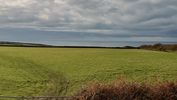 Filename : DSC_4180~0.JPG
Filesize : 782KB
Dimensions : 1750x984
Date added : Dec 04, 2023 DSC_4180~0.JPG