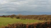Filename : DSC_4181.JPG
Filesize : 655KB
Dimensions : 1750x984
Date added : Dec 04, 2023 DSC_4181.JPG