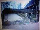 Filename : thatched wall..JPG
Filesize : 173KB
Dimensions : 1080x810
Date added : Jan 21, 2019 thatched wall..JPG