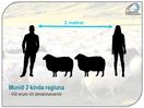 Filename : COVID-19_ISL_sheep.JPG
Filesize : 87KB
Dimensions : 1071x807
Date added : Aug 26, 2020 COVID-19_ISL_sheep.JPG