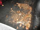 Filename : mardernest~0.jpeg
Filesize : 225KB
Dimensions : 820x615
Date added : Mar 22, 2021 mardernest~0.jpeg