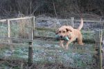 Filename : !cid_49d39358-f714-4c8c-b06b-fa713df9495b.jpg
Filesize : 724KB
Dimensions : 1750x1166
Date added : Dec 24, 2016 !cid_49d39358-f714-4c8c-b06b-fa713df9495b.jpg