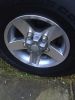 Filename : IMG_0663.JPG
Filesize : 80KB
Dimensions : 480x640
Date added : Mar 12, 2016 IMG_0663.JPG