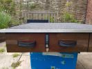 Filename : 20170417_142848.jpg
Filesize : 664KB
Dimensions : 1750x1312
Date added : Aug 28, 2017 20170417_142848.jpg
