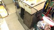 Filename : IMAG0018.jpg
Filesize : 369KB
Dimensions : 1750x989
Date added : Mar 06, 2016 IMAG0018.jpg
