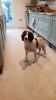 Filename : IMG-20181214-WA0000.jpg
Filesize : 94KB
Dimensions : 900x1600
Date added : Jan 05, 2019 IMG-20181214-WA0000.jpg
