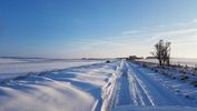 Filename : IMG-20190202-WA0000.jpg
Filesize : 111KB
Dimensions : 1600x900
Date added : Feb 02, 2019 IMG-20190202-WA0000.jpg