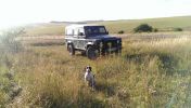 Filename : dog and defender .jpg
Filesize : 663KB
Dimensions : 1750x989
Date added : Aug 19, 2016 dog and defender .jpg