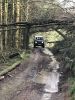 Filename : IMG_3197.JPG
Filesize : 1394KB
Dimensions : 1750x2333
Date added : Nov 02, 2017 IMG_3197.JPG