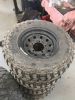 Filename : IMG_5511.jpg
Filesize : 770KB
Dimensions : 1512x2016
Date added : Oct 03, 2018 IMG_5511.jpg
