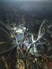 Filename : IMG_20170418_212609.jpg
Filesize : 767KB
Dimensions : 1750x2333
Date added : Apr 18, 2017 IMG_20170418_212609.jpg