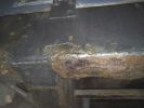 Filename : IMG_20171204_174141.jpg
Filesize : 365KB
Dimensions : 1750x1313
Date added : Dec 04, 2017 IMG_20171204_174141.jpg