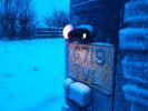 Filename : IMG_20180228_175203.jpg
Filesize : 363KB
Dimensions : 1750x1313
Date added : Feb 28, 2018 IMG_20180228_175203.jpg