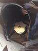 Filename : IMG_1578.JPG
Filesize : 66KB
Dimensions : 480x640
Date added : Jun 10, 2017 IMG_1578.JPG