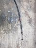 Filename : 20180402_144746.jpg
Filesize : 1838KB
Dimensions : 1750x2333
Date added : Apr 02, 2018 20180402_144746.jpg