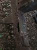Filename : image~3.jpeg
Filesize : 756KB
Dimensions : 1536x2048
Date added : Feb 25, 2018 image~3.jpeg