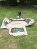 Filename : image~39.jpeg
Filesize : 1544KB
Dimensions : 1536x2048
Date added : Jun 02, 2019 image~39.jpeg