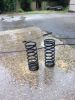 Filename : image~48.jpg
Filesize : 923KB
Dimensions : 1536x2048
Date added : Sep 17, 2017 image~48.jpg