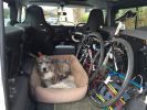 Filename : image~1.jpeg
Filesize : 541KB
Dimensions : 1750x1312
Date added : Apr 15, 2016 image~1.jpeg