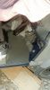 Filename : 2~6.jpg
Filesize : 819KB
Dimensions : 1750x3111
Date added : Jul 23, 2017 2~6.jpg