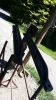 Filename : 6~2.jpg
Filesize : 1514KB
Dimensions : 1750x3111
Date added : Jun 18, 2017 6~2.jpg