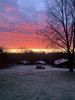 Filename : 22C94667-C9F7-496D-80F7-9CA022A9AF50.jpeg
Filesize : 1584KB
Dimensions : 1750x2333
Date added : May 04, 2020 22C94667-C9F7-496D-80F7-9CA022A9AF50.jpeg