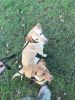 Filename : 06439854-0F55-4CD8-80CA-407AD6431FBC.jpeg
Filesize : 2188KB
Dimensions : 1750x2333
Date added : Dec 23, 2017 06439854-0F55-4CD8-80CA-407AD6431FBC.jpeg