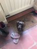 Filename : 3616D6F7-26CC-4CB2-925B-79A1F763A314.jpeg
Filesize : 1117KB
Dimensions : 1750x2333
Date added : Oct 10, 2020 3616D6F7-26CC-4CB2-925B-79A1F763A314.jpeg