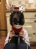 Filename : 39626CF0-3DC9-4826-8D8A-6FA8076CCDEB.jpeg
Filesize : 1209KB
Dimensions : 1750x2333
Date added : Dec 21, 2020 39626CF0-3DC9-4826-8D8A-6FA8076CCDEB.jpeg